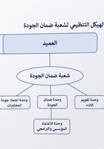الهيكل التنظيمي
